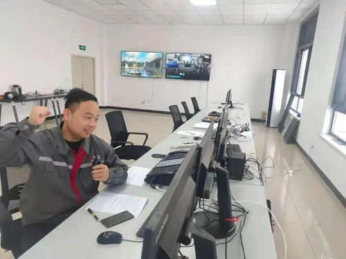 驕傲 丨中國中車首個風電場一次送電成功 技術(shù)開發(fā)及技術(shù)服務(wù)